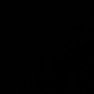 Meet your Posher, Laina